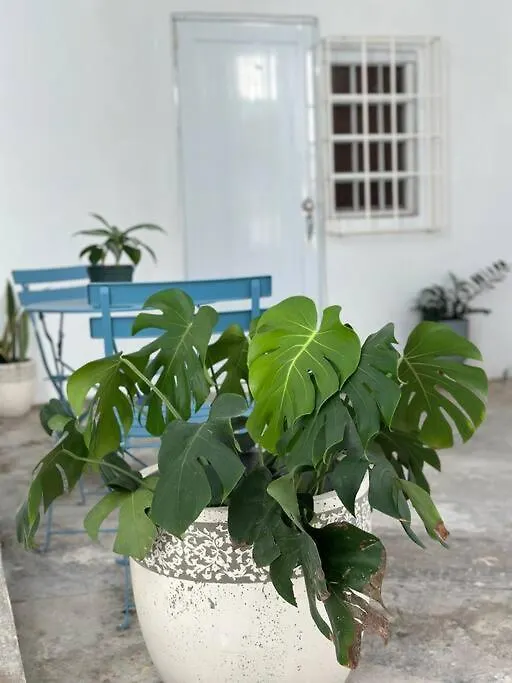 Apartmán Casa Marvella@San Juan Portoriko